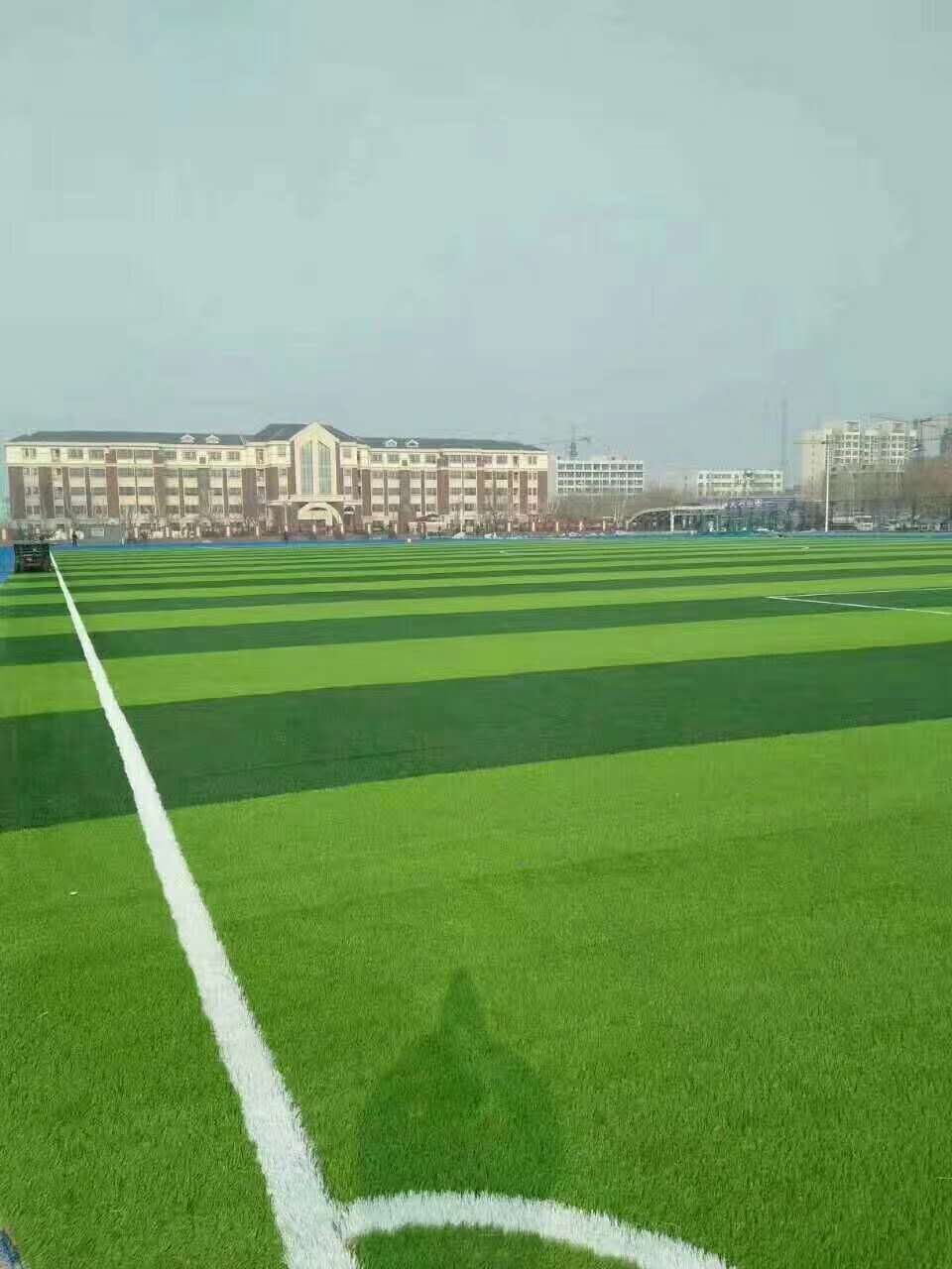 钦州市混合型塑胶跑道仿真草坪 - 厂家